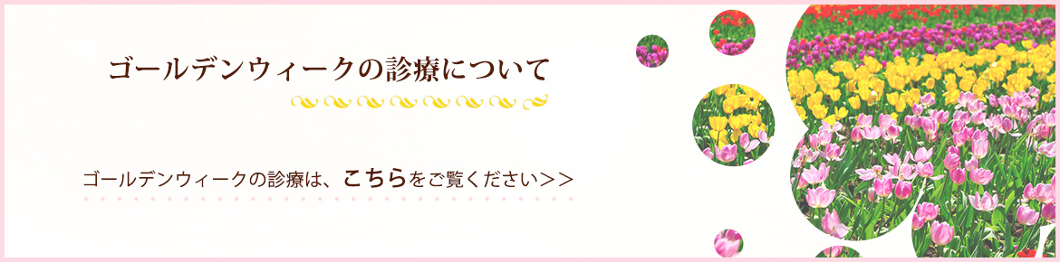 ゴールデンウイークの診療について